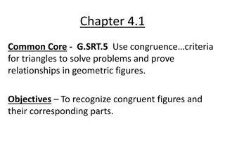 Triangle Congruence Criteria in Geometry