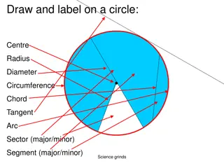 Circle Concepts and Theorems