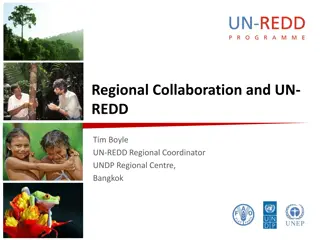 Regional Collaboration and Support in UN-REDD Program