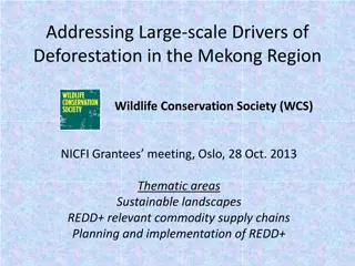 Addressing Large-scale Deforestation Drivers in the Mekong Region