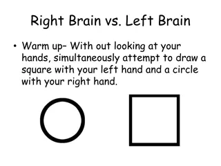 Understanding the Right Brain vs. Left Brain Theory