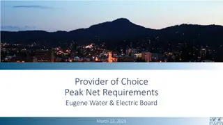 Peak Net Requirements (PNR) in Energy Management