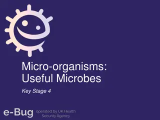 Understanding Useful Microbes: Key Information for Students