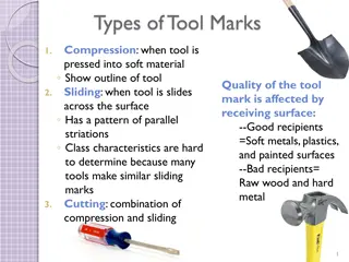 Tool Marks: Examination, Processing, and Analysis