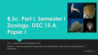 Study of Phylum Cnidaria: General Characters and Classification