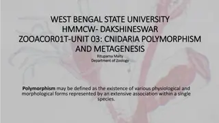 Polymorphism and Metagenesis in Cnidaria at West Bengal State University