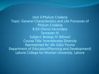 Characteristics of Phylum Cnidaria