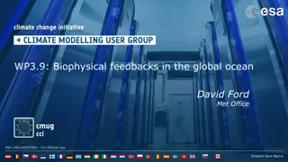 Biophysical Feedbacks in the Global Ocean Research Overview