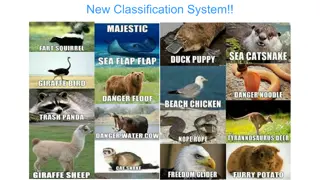 Evolution of Animal Classification