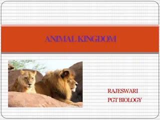 Introduction to Animal Kingdom Classification