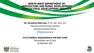 Mineral Requirements for Beef Cows Demonstration Day at Tosca