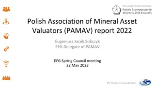 PAMAV Report 2022: Advancing Mineral Asset Valuation in Europe