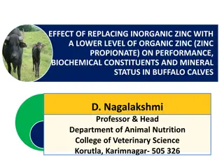 Impact of Replacing Inorganic Zinc with Organic Zinc on Buffalo Calves