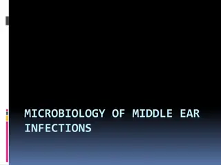 Overview of Middle Ear Infections: Microbiology, Classification, and Risk Factors