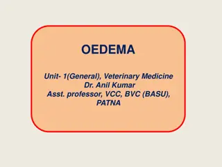 Understanding Edema in Veterinary Medicine