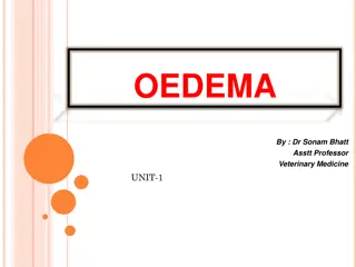 Understanding Oedema in Veterinary Medicine