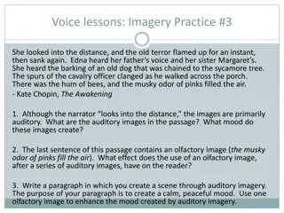 Literary Analysis: Imagery, Syntax, Diction, and Detail in Voice Lessons