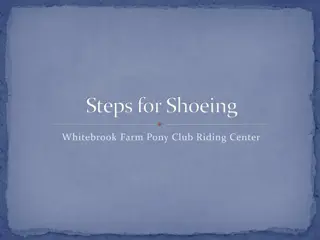 Comprehensive Guide to Shoeing a Horse at Whitebrook Farm Pony Club Riding Center