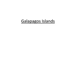 Conservation Efforts in the Galapagos Islands