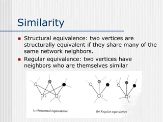 Structural Equivalence and Similarity Measures in Network Analysis