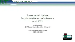 Sustainable Forestry Conference Update: Emerald Ash Borer Management Insights