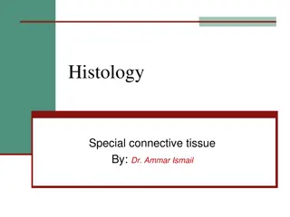 Overview of Special Connective Tissue: Cartilage - Histology by Dr. Ammar Ismail