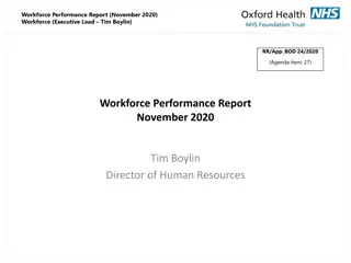 Workforce Performance Report - November 2020 Overview