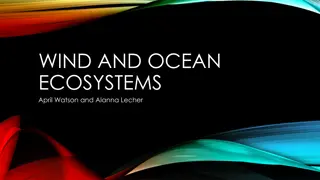 Exploring Wind and Ocean Ecosystems Through Data Visualization Activities