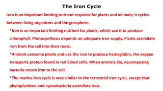 The Iron Cycle and Aquatic Microbiology