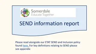 SEND Provision Report at Somerdale School