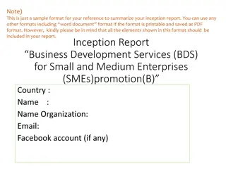 Inception Report: Business Development Services (BDS) for SMEs Promotion