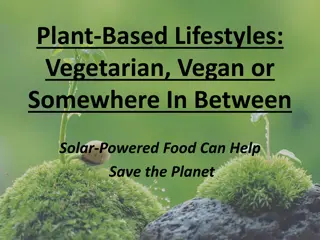 Plant-Based Lifestyles: Vegetarian, Vegan, or Somewhere In Between