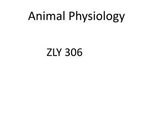 Exploring Animal Physiology: Functions and Processes