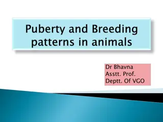 Factors Affecting Puberty and Reproduction in Animals