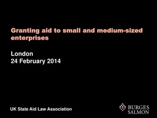 Understanding State Aid Law for SMEs in London Event