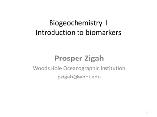 Advanced Biomarker Analysis in Biogeochemistry Studies