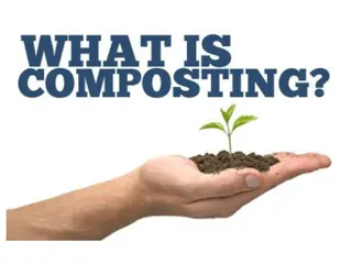 The Fundamentals of Composting