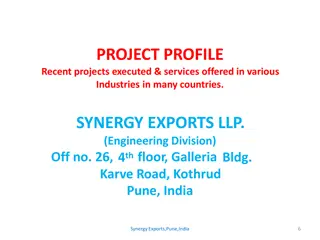 Recent Projects and Services Offered by Synergy Exports LLP in Various Industries