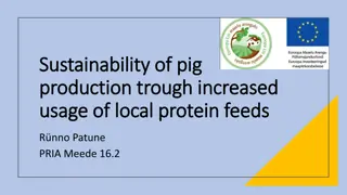 Sustainable Pig Production with Local Protein Feeds