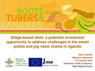 Potential Investment Opportunity in Sweet Potato and Pig Value Chains in Uganda