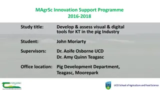 Visual and Digital Tools for Knowledge Transfer in Pig Industry Study