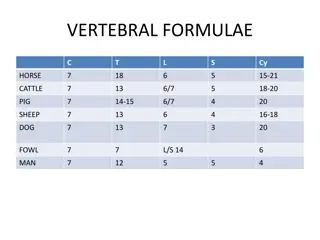 Comparative Anatomy of Mammals: Vertebral and Skeletal Structures