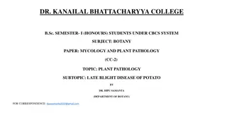 Late Blight Disease of Potato: Symptoms and Management