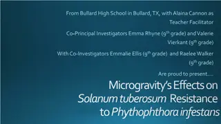 Microgravity's Effects on Solanum tuberosum Resistance to Phytophthora infestans