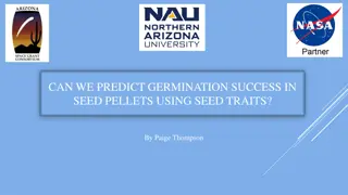 Enhancing Restoration Success with Seed Pellets: A Study on Predicting Germination in Arid Environments