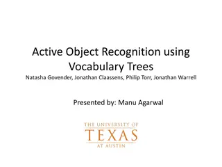 Active Object Recognition Using Vocabulary Trees: Experiment Details and COIL Dataset Visualizations