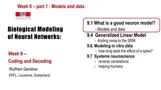 Biological Modeling of Neuronal Networks: Insights from Neural Dynamics