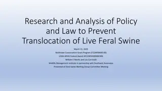 Comprehensive Analysis of Policies and Laws on Feral Swine Translocation