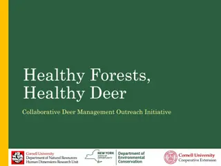 Understanding Deer Impact on Forest Regeneration