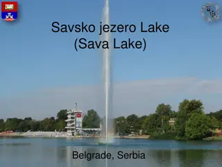 Discover Savsko Jezero: The Artificial Lake in Belgrade